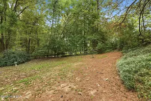 132 Hilltop Dr, Four Oaks, NC 27524 - Photo 75