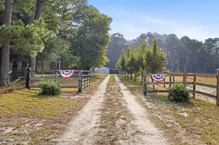 4846 General Howe Hwy, Riegelwood, NC 28456 - Photo 31