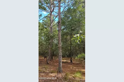 3023 Cabadelo Circle SE, Bolivia, NC 28422 - Photo 7