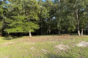 1579 Golden Marsh Ct SE, Bolivia, NC 28422 - Photo 1