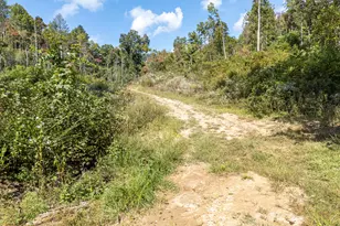 1600 Cook Creek Rd, Murphy, NC 28906 - Photo 53
