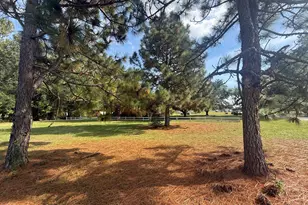 2129 Briarwood Dr, Kinston, NC 28501 - Photo 3