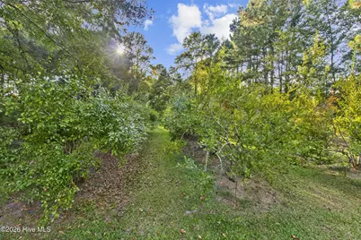 6500 Maggie Hart Lane, Grifton, NC 28530 - Photo 37