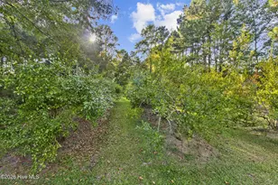 6500 Maggie Hart Ln, Grifton, NC 28530 - Photo 37
