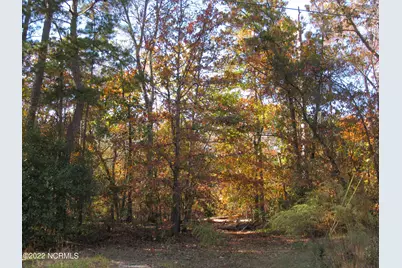 Lot 43& 44 Lakewood Drive, Maxton, NC 28364 - Photo 3