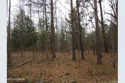 Lot 43& 44 Lakewood Drive, Maxton, NC 28364 - Photo 1
