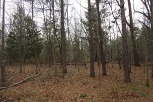 Lot 43& 44 Lakewood Dr, Maxton, NC 28364 - Photo 1