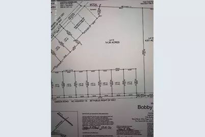 Lot 15 Tbd Gibson Road, Laurinburg, NC 28352 - Photo 1