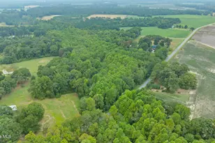 227 Stevens Church Rd, Goldsboro, NC 27530 - Photo 53