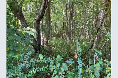 9011 Pleasant Grove Church Road, Spring Hope, NC 27882 - Photo 3