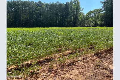 9011 Pleasant Grove Church Road, Spring Hope, NC 27882 - Photo 1