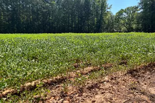 9011 Pleasant Grove Church Rd, Spring Hope, NC 27882 - Photo 1