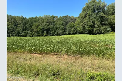 9011 Pleasant Grove Church Road, Spring Hope, NC 27882 - Photo 11