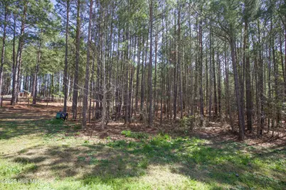 190 Dicks Hill Road, Carthage, NC 28327 - Photo 63