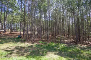190 Dicks Hill Rd, Carthage, NC 28327 - Photo 63