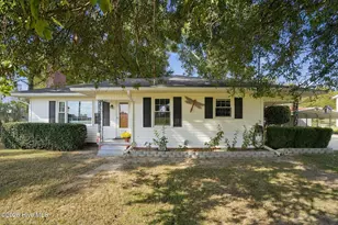 774 Old Smith Chapel Rd, Mount Olive, NC 28365 - Photo 3