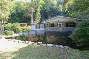 447 Anderson Creek, Robbinsville, NC 28771 - Photo 3