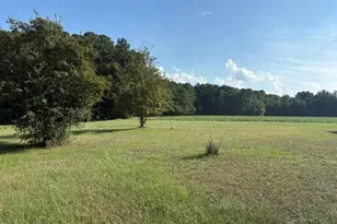 6171 Old Raleigh Rd, Sims, NC 27880 - Photo 1