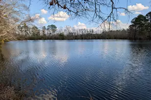 4719 Lakeview Rd, Elm City, NC 27822 - Photo 3