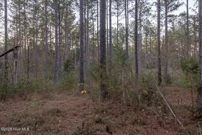 0 Barr Chapel Road, Edgefield, SC 29824 - Photo 11