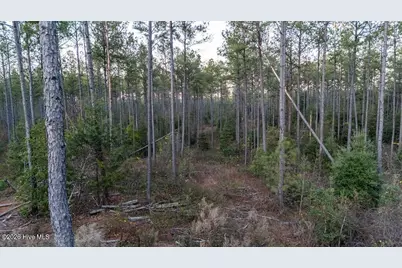 0 Barr Chapel Road, Edgefield, SC 29824 - Photo 13