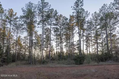 0 Barr Chapel Road, Edgefield, SC 29824 - Photo 9