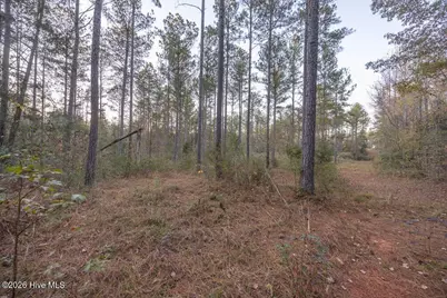 0 Barr Chapel Road, Edgefield, SC 29824 - Photo 1