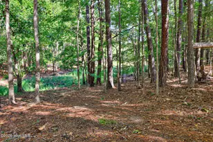 212 Pirates Cv, McCormick, SC 29835 - Photo 81