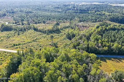 234 Gin Mill Road, Hamlet, NC 28345 - Photo 23