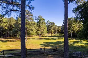 496 Yadkin Run Ln, Southern Pines, NC 28387 - Photo 11