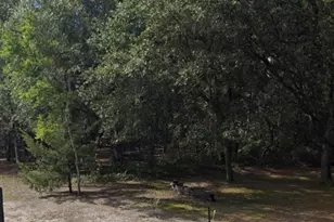 7656 Scout Camp Hatila Rd, Wilmington, NC 28409 - Photo 1