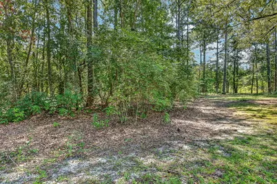 548 Carolina 306, Grantsboro, NC 28529 - Photo 43