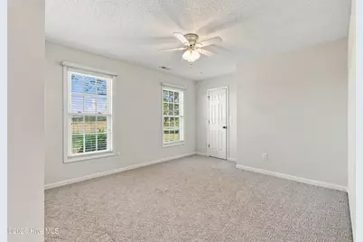 344 Ludie Brown Road, Chinquapin, NC 28521 - Photo 29