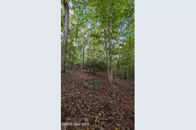 Lot 5 Capelsie Road, Candor, NC 27229 - Photo 7
