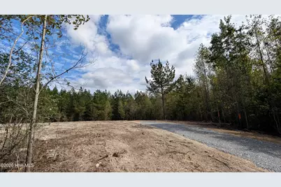 Lot 5 Capelsie Road, Candor, NC 27229 - Photo 3