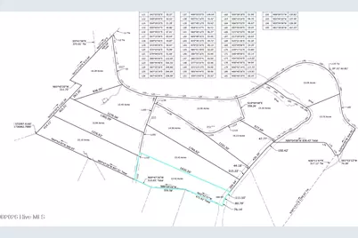 Lot 5 Capelsie Road, Candor, NC 27229 - Photo 9