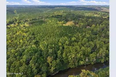Lot 5 Capelsie Road, Candor, NC 27229 - Photo 5
