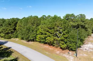 145 Royal Palms Way, Holly Ridge, NC 28445 - Photo 1