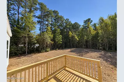 388 Mallard Roost Drive, Burgaw, NC 28425 - Photo 11