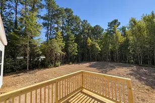 388 Mallard Roost Dr, Burgaw, NC 28425 - Photo 11
