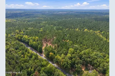 Lot 1 Capelsie Road, Candor, NC 27229 - Photo 3