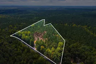 Lot 1 Capelsie Rd, Candor, NC 27229 - Photo 1
