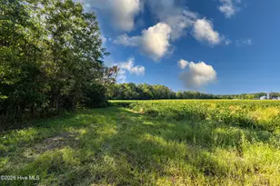 3053 Draughn Rd, Tarboro, NC 27886 - Photo 13