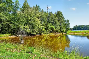 436 Doctor Robinson Rd, Bladenboro, NC 28320 - Photo 47