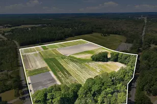 000 Willis Farm Tract-1 Rd, Newport, NC 28570 - Photo 1