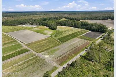 000 Willis Farm Tract-1 Road, Newport, NC 28570 - Photo 7