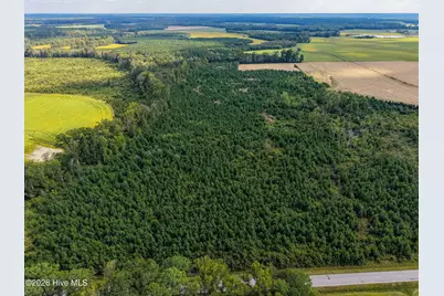 Tract 4 Bethlehem Church Road, Tarboro, NC 27886 - Photo 5