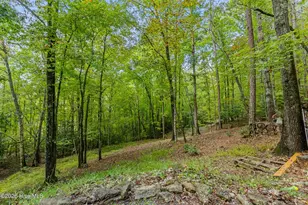 151 Pinewood Dr, Murphy, NC 28906 - Photo 43
