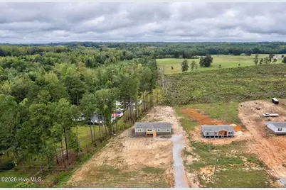 2917 Lonesome Pine Road, Whitakers, NC 27891 - Photo 31