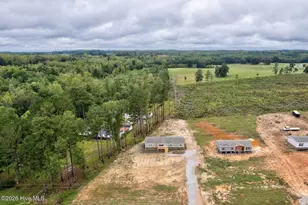 2917 Lonesome Pine Rd, Whitakers, NC 27891 - Photo 31